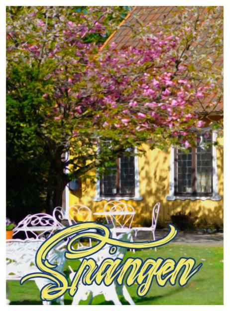 Spangens Gaestgivaregard Inn Ljungbyhed Bagian luar foto
